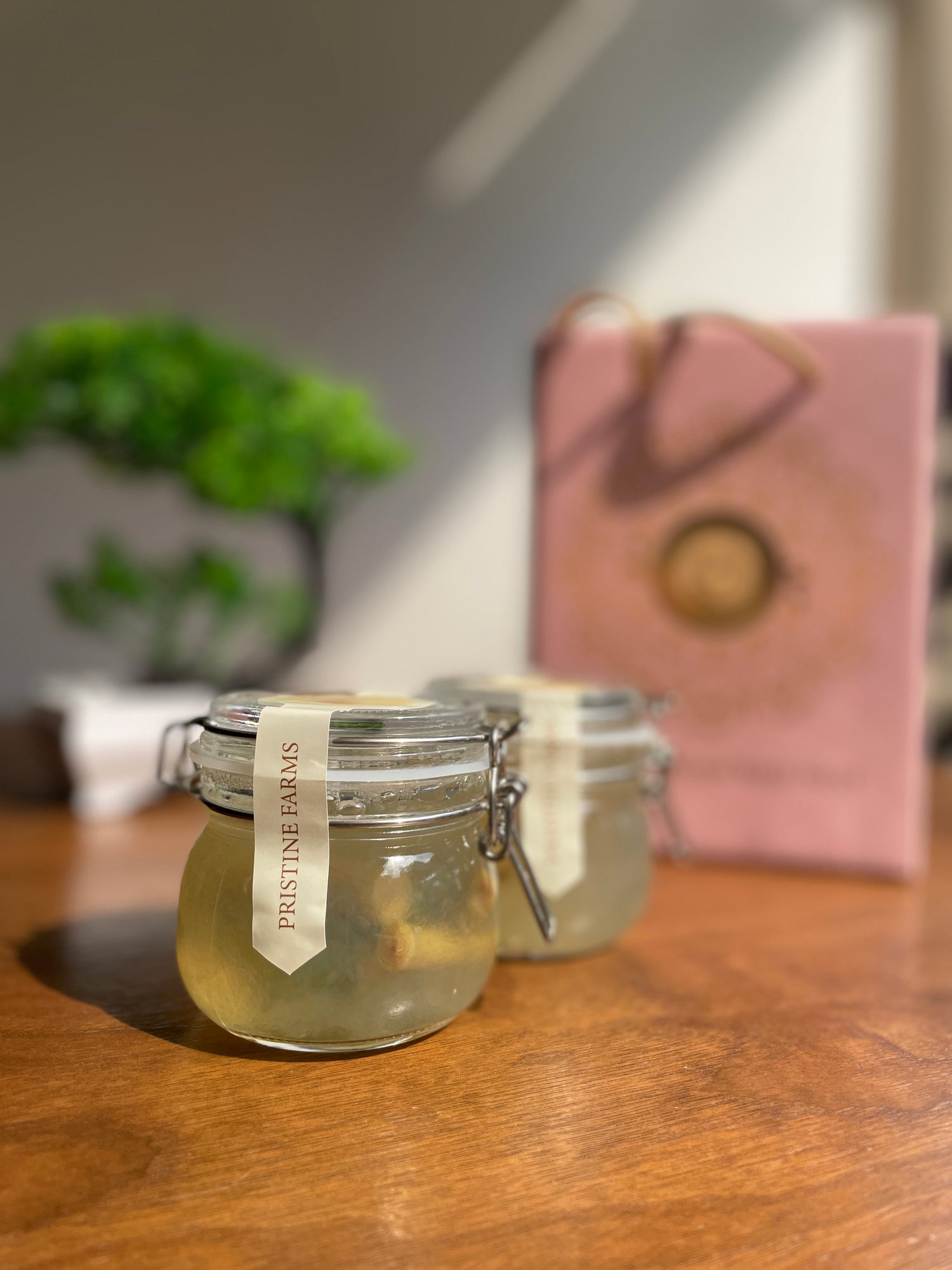 Pristine Farm Bird Nest